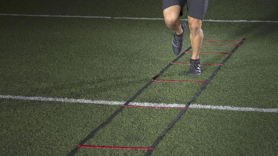 Rogue agility on sale ladder